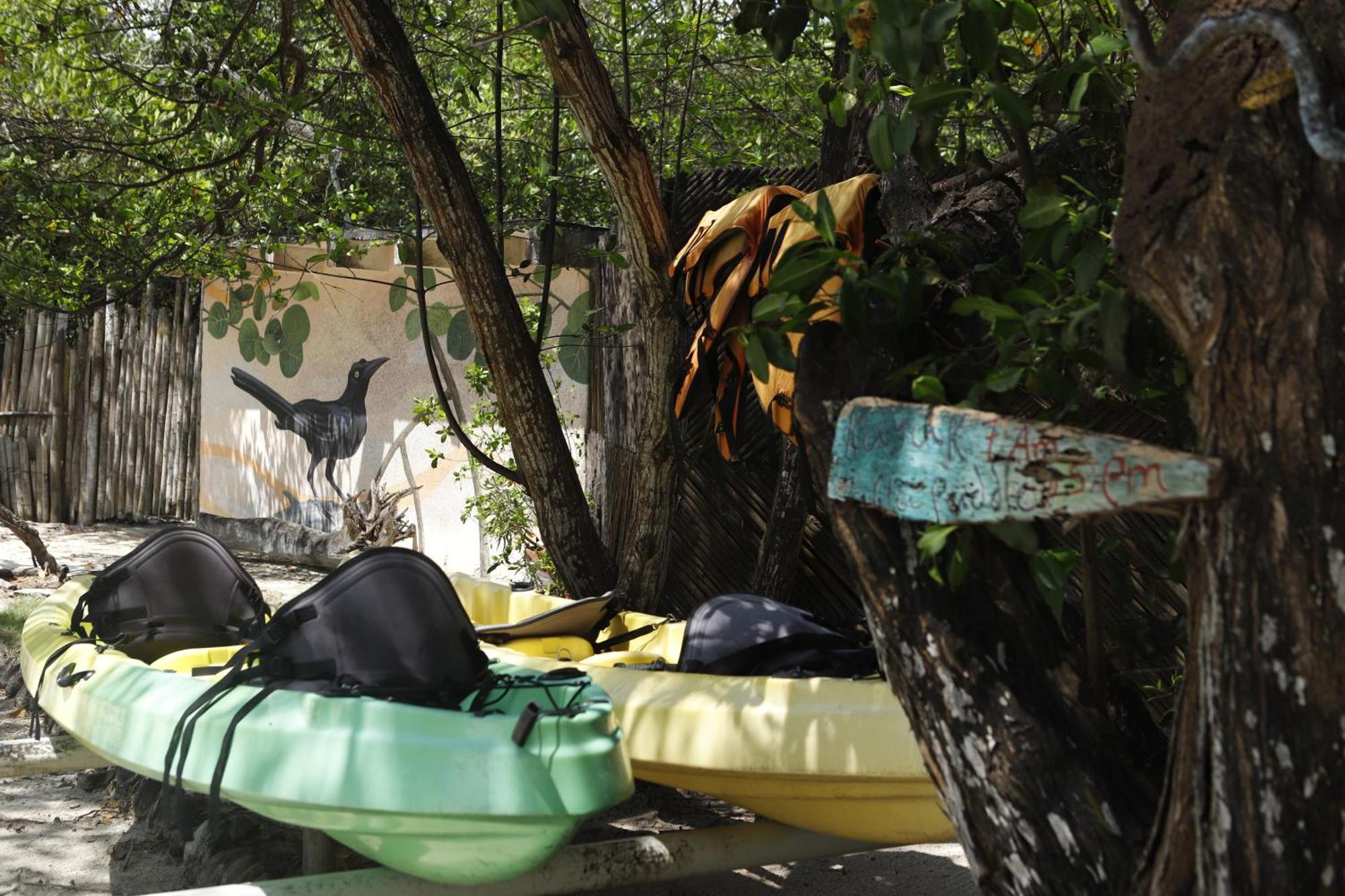 Sal Si Puedes Hotel Tintipan Island Kültér fotó