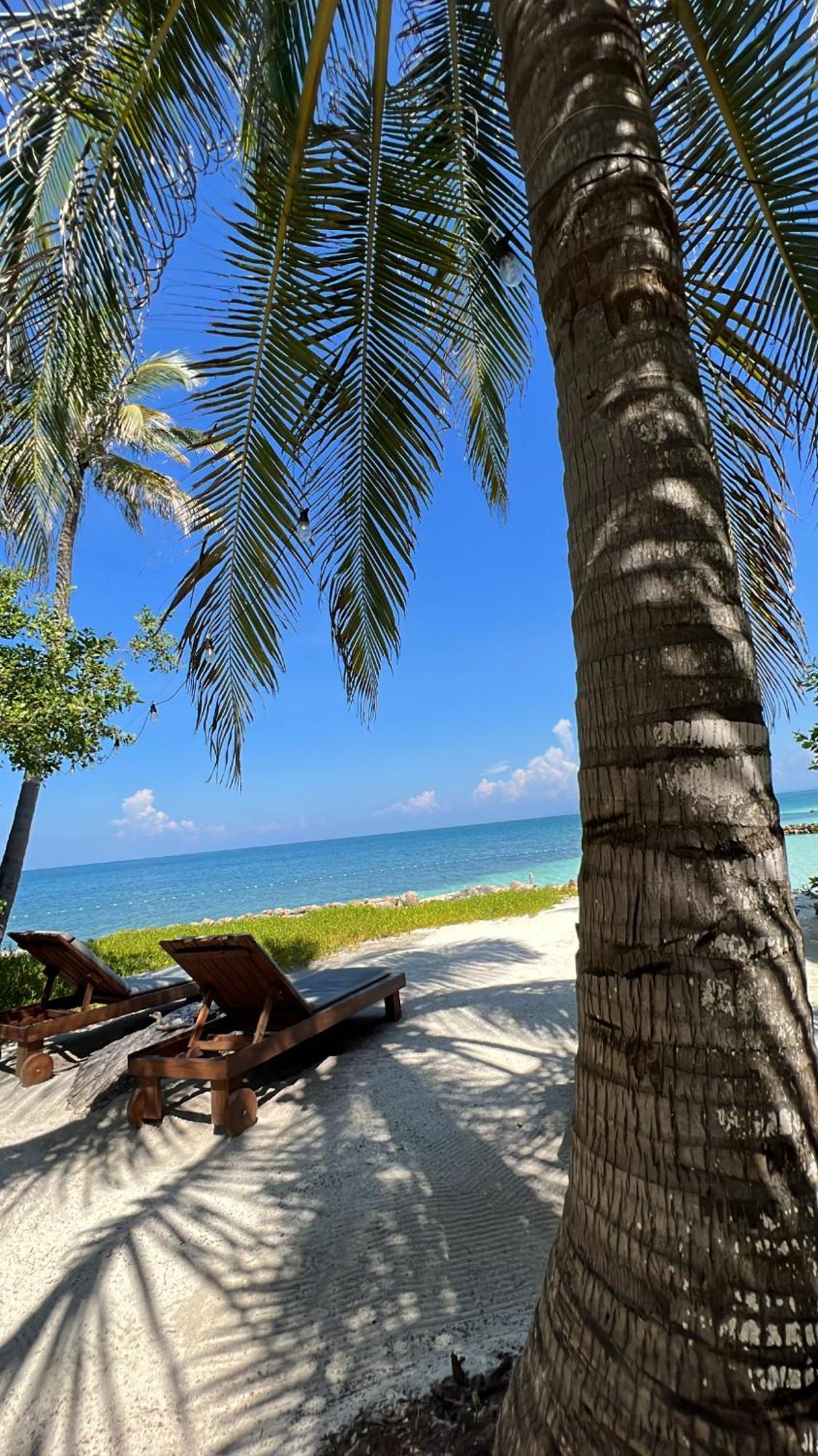 Cabana Salsipuedes Hotel Tintipan Island Kültér fotó